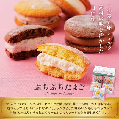 北海道 釧路発 大人気 スイーツ セット キャベツ畑+ぷちぷちたまご F4F-4286