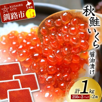 【北海道産】秋鮭 いくら醤油漬け 1kg(250g×2P×2箱) F4F-8719