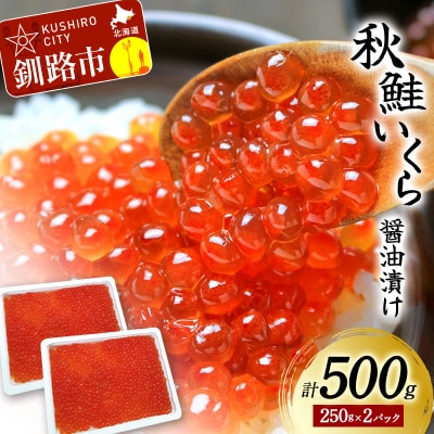 【北海道産】秋鮭 いくら醤油漬け 500g(250g×2P) F4F-8706