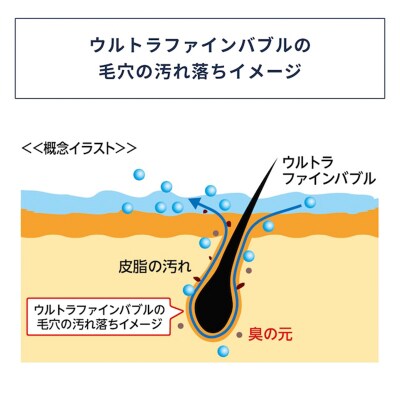バブルマイスター シャワーヘッド用 ウルトラファインバブル お風呂 美容 工事不要 F4F-1963