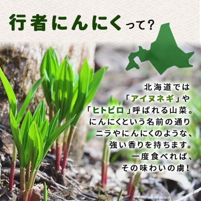行者にんにく醤油漬120g 3袋セット 北海道 山菜 ヒトビロ アイヌネギ F4F-2220