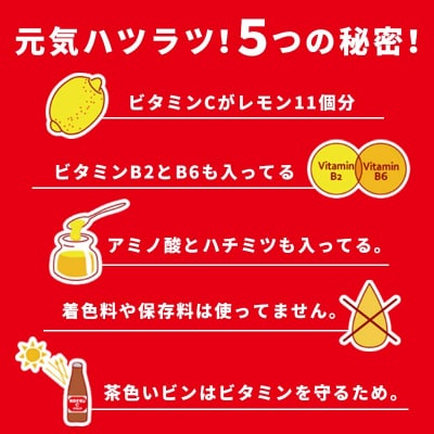 【定期便4か月】オロナミンC 50本×4回 合計200本 4か月連続 大塚製薬 F4F-5488