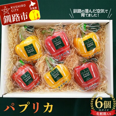 【5月より順次発送】 パプリカ 3Lサイズ×6個 野菜 サラダ 北海道野菜 生野菜 F4F-2276