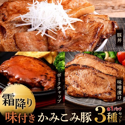 味付きかみこみ豚3種セット 豚丼 味噌漬け ポークチャップ F4F-2376