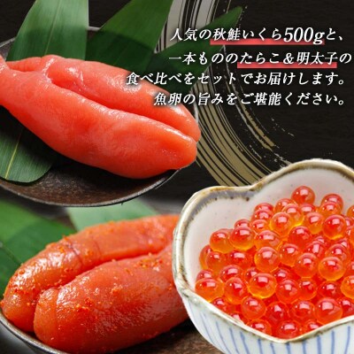 魚卵セット(1) いくら たらこ 明太子一本もの 食べ比べ 魚卵 ご飯のお供 F4F-5649