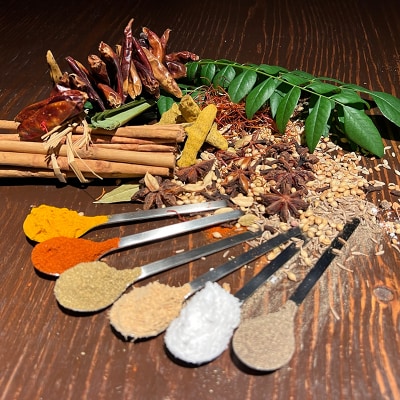 ひだまり薬膳スパイスカレー 2個 冷凍 薬膳 スパイスカレー カレー スパイス F4F-2881