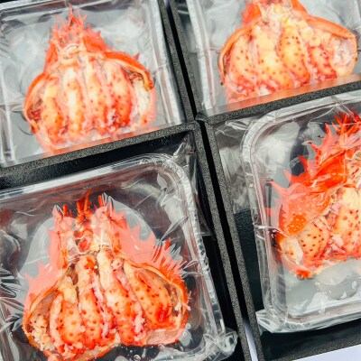 道東名産品!花咲ガニ甲羅盛80g×4【化粧箱入り】 F4F-3201