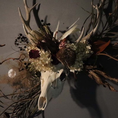 花鹿 ―ROKU― 鹿 角 オブジェ 飾り ドライフラワー インテリア シカ