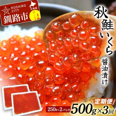 【3か月連続定期便】北海道産 新物 秋鮭いくら醤油漬け 500g(250g×2P) F4F-6158