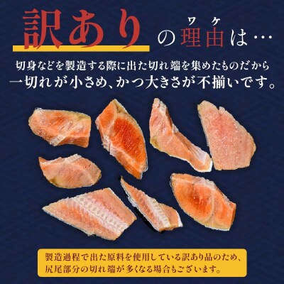 訳あり 紅鮭 約1.3kg 鮭 しゃけ サーモン 切り身 打ち身 規格外 不揃い F4F-8286