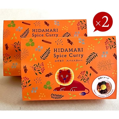 【3ヶ月連続定期便】ひだまり薬膳スパイスカレー 4個 冷凍 薬膳 カレー F4F-4366