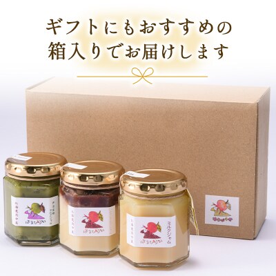 高級「ミルクジャム」1本と季節のジャム2本 計3本 詰め合わせ 朝食 手作り F4F-4288