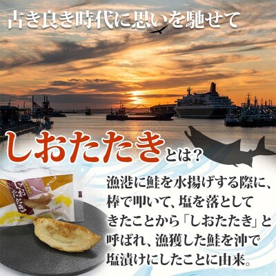 しおたたき 10個入り 個包装 釧路銘菓 焼き菓子 和風パイ 小豆あん 鮭パイ F4F-5131