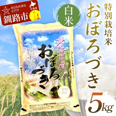 【令和7年産 】 【新米】 特別栽培米おぼろづき 5kg 白米 F4F-9818