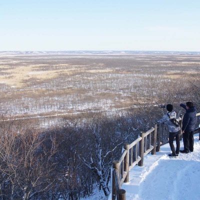 釧路湿原チョットのたび (普通車) 釧路湿原 釧路市 旅行 トラベル F4F-7961