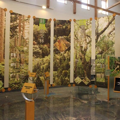 阿寒湖旅情の旅 (普通車) 釧路湿原 釧路市 旅行 トラベル 空港 市内観光 観光 F4F-7966