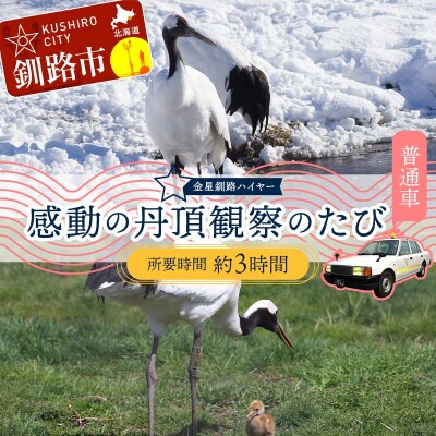 感動の丹頂観察のたび (普通車) 釧路湿原 釧路市 旅行 トラベル 空港 市内観光 F4F-7967
