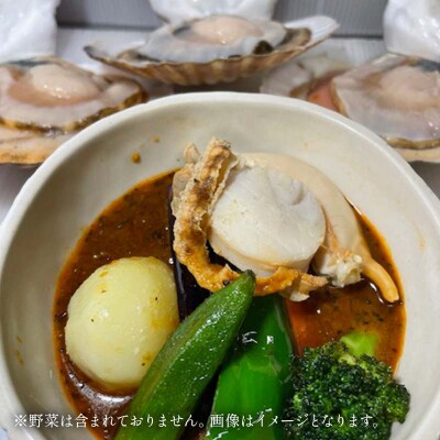 特大ホタテのスープカレー 2種4袋(270g/1袋) カレー レトルト 簡単調理 F4F-8228