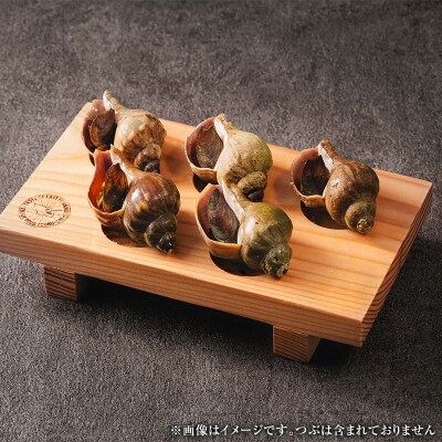 つぶ下駄 3個穴 盛付台 木製 カラマツ 盛付皿 つぶ下駄 木皿 F4F-8182