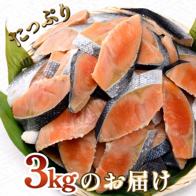 訳あり 紅鮭 約3kg 鮭 しゃけ サーモン 切り身 打ち身 規格外 不揃い F4F-8287