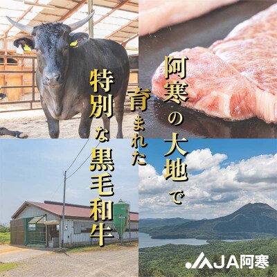 阿寒丹頂黒和牛 ハンバーグ100g×8 牛肉 ハンバーグ 国産 牛 肉 お肉 F4F-8290