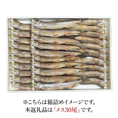 本ししゃも メス30尾 釧路産 本ししゃも 魚 ししゃも プチプチたまごのメス F4F-8868