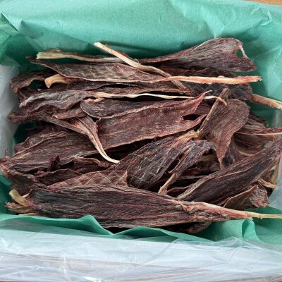 エゾ鹿肉脛ジャーキー(無添加ペットのおやつ)500g ペット おやつ 愛犬 ご褒美 F4F-8372