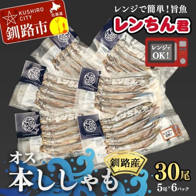 レンちん君釧路産本しゃもオス30尾セット シシャモ 冷凍 魚 海産物 一夜干し F4F-8445