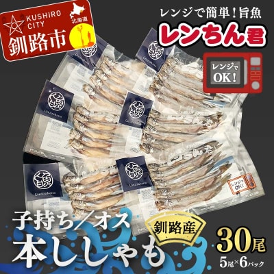 レンちん君釧路産本ししゃもセット シシャモ 冷凍 魚 海産物 一夜干し 北海道 F4F-8446
