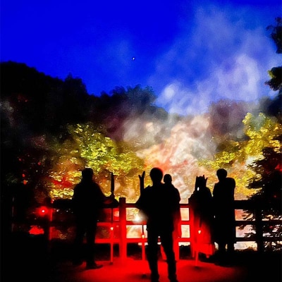 阿寒湖の森ナイトウォーク 入場券 大人1枚 F4F-8583