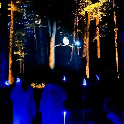 阿寒湖の森ナイトウォーク 入場券 大人1枚 小人1枚 F4F-8585