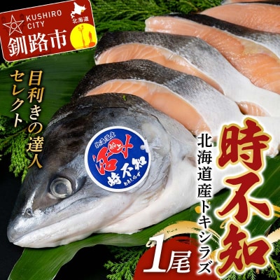 【目利きの達人セレクト】天然 時不知 (トキシラズ) 白鮭 1尾 希少 初夏の鮭 F5F-0073