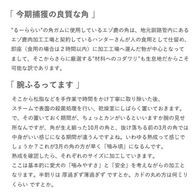 エゾ鹿の角ガム 12cm 小型犬用 北海道産 犬用ガム ペット おやつ F5F-0058