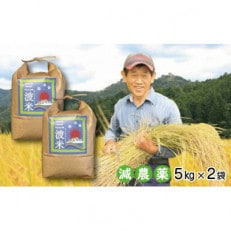 栽培期間中農薬を減らしお作りした 三波農地を守る会のコシヒカリ　10kg(5kgを2袋)玄米