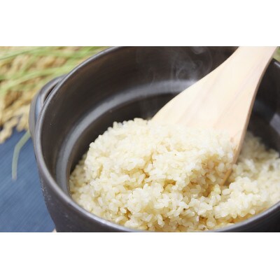 木村さんのこだわりセット【炊飯器で発芽する玄米・信鷹唐辛子・信鷹辣油】