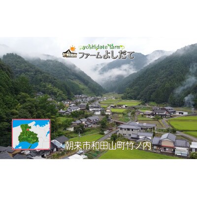 農家直送!朝来市産特選自然薯(じねんじょ) 1.3kg