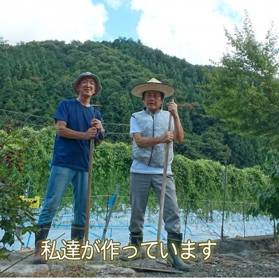 農家直送!朝来市産特選自然薯(じねんじょ) 1.3kg