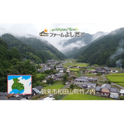 農家直送!朝来市産特選自然薯(じねんじょ) 600g