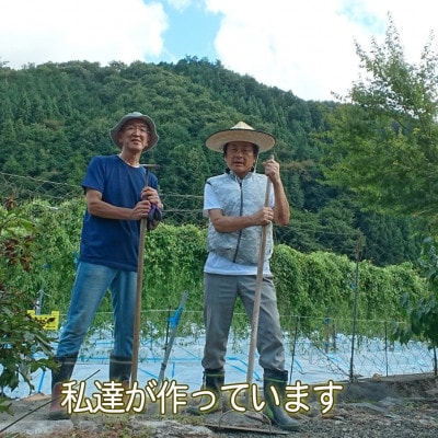 農家直送!朝来市産特選自然薯(じねんじょ) 600g