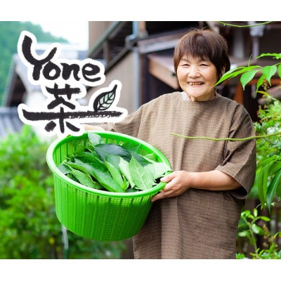 【杜仲の葉・どくだみ・びわの葉・玄米・はと麦】風味豊かで香ばしい。YoNe茶の「野草茶」×3袋