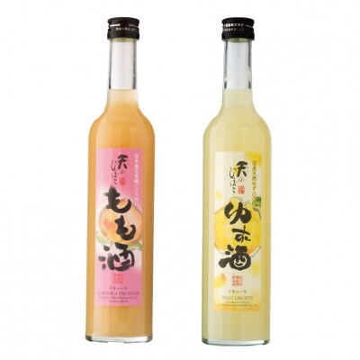 あさご果実酒三昧　2酒蔵の果実酒セット(梅酒・もも酒・ゆず酒)