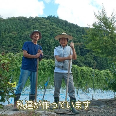 農家直送!朝来市産特選自然薯(じねんじょ) 2kg