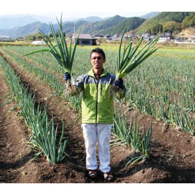 高本さんちの土付き岩津ねぎ3kg◎鍋・天ぷら・焼いても美味い!