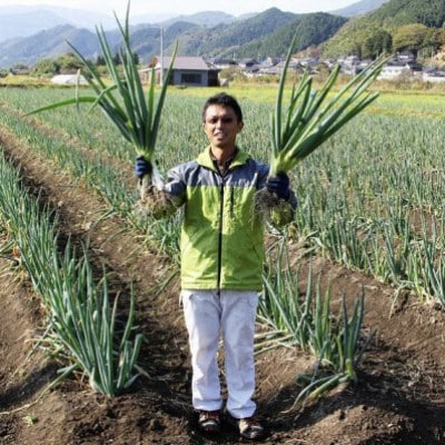 高本さんちの土付き岩津ねぎ5㎏◎鍋・天ぷら・焼いても美味い!
