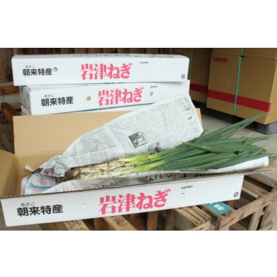 土付き岩津ねぎ3kg(箱入り)◎新鮮・甘い・柔らかい・香り豊か・但馬の冬の楽しみ【久農園】