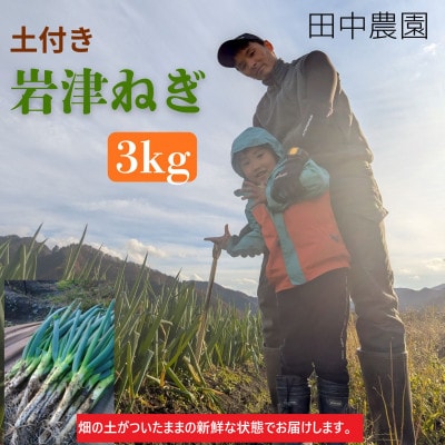 土付き岩津ねぎ 3kg 箱入り 【田中農園】 新鮮