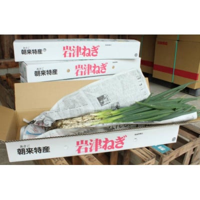 土付き岩津ねぎ 3kg 箱入り 【田中農園】 新鮮