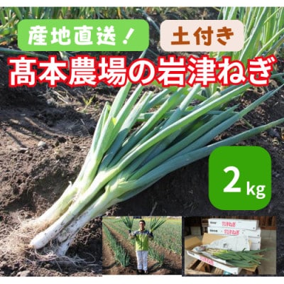 高本さんちの土付き岩津ねぎ2kg◎鍋・天ぷら・焼いても美味い!