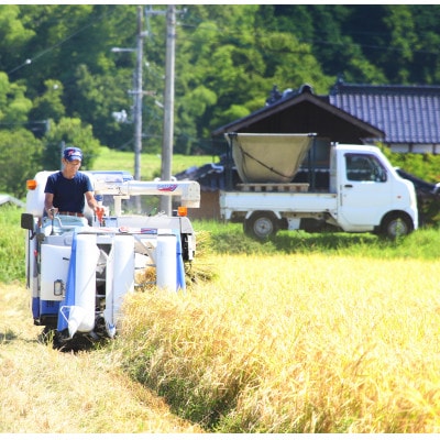 令和8年産　にじのきらめき 5kg 白米 大粒で冷めても美味しい「虹の煌めき」
