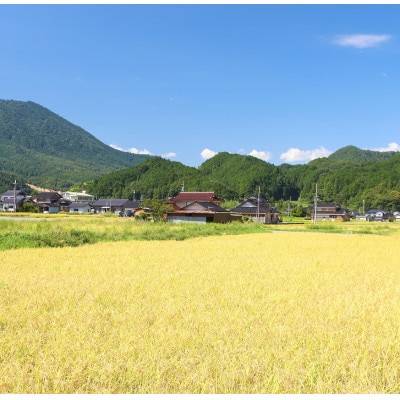 令和8年産　にじのきらめき 5kg 白米 大粒で冷めても美味しい「虹の煌めき」